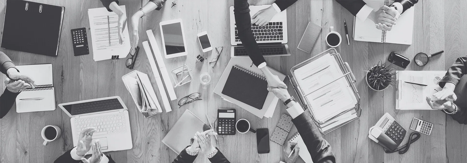 Asesoría profesional